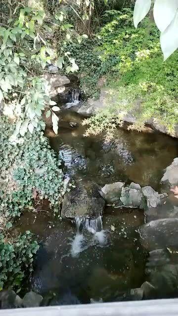 逃离陈旧房2