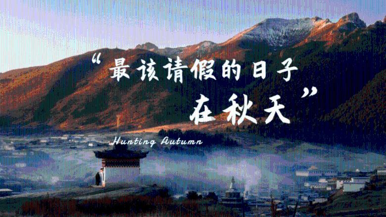 野外生存游戏