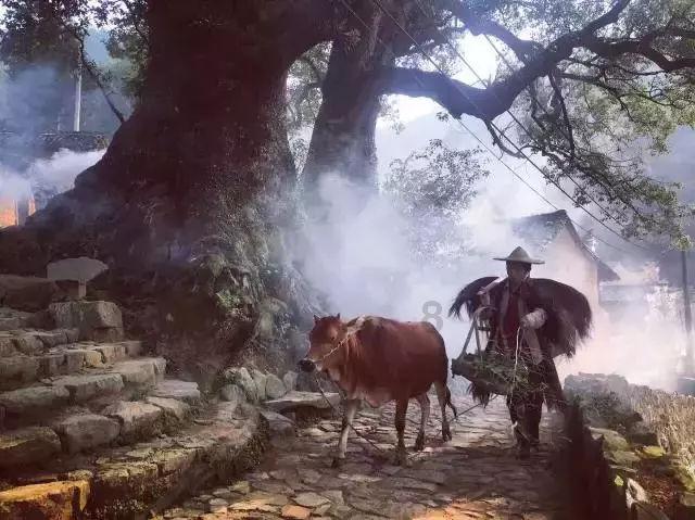 我叫MT4