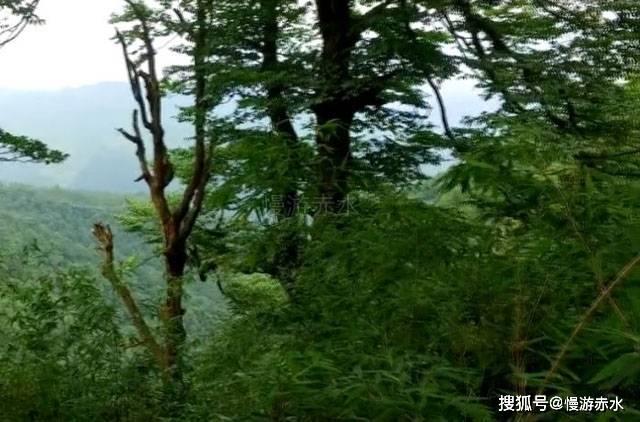 救援秀气的男孩