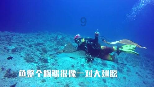 道路交通连连看第二章