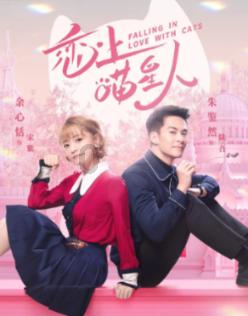 小猫钓鱼正版下载中文版