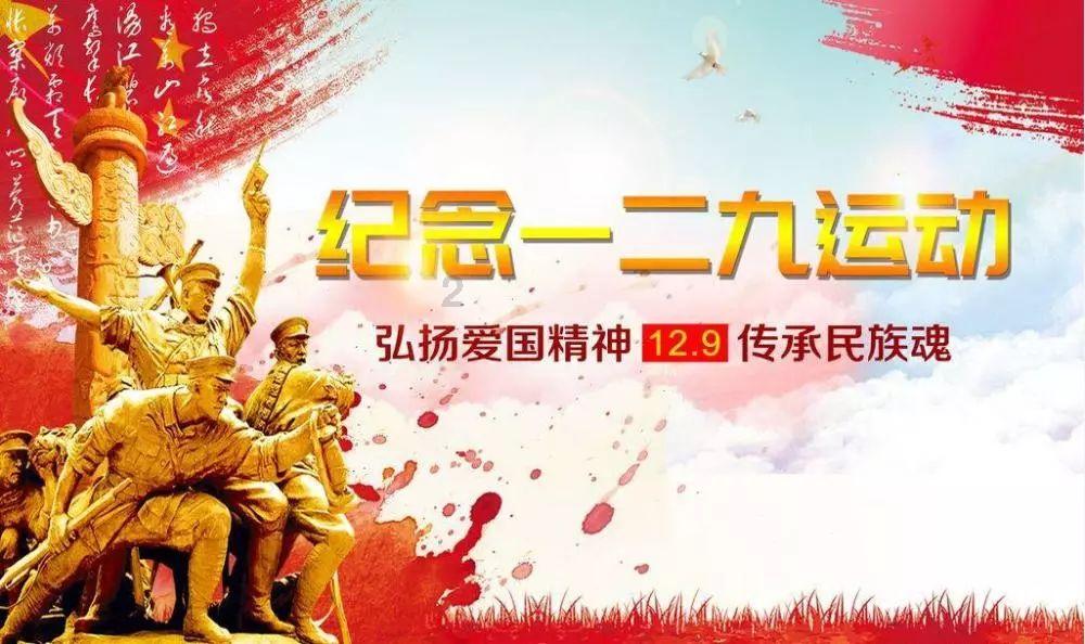 电吹风排名前十名:2024伊始戴森徕芬初扉等为您启航