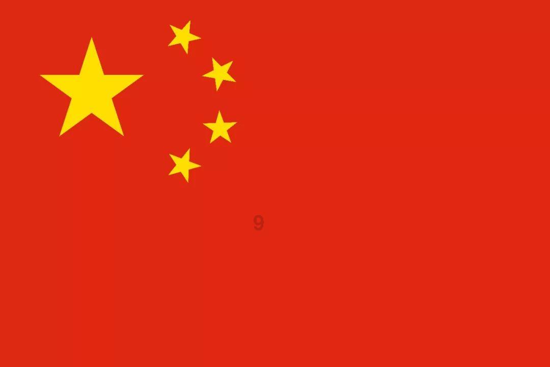 破碎的动物图形2