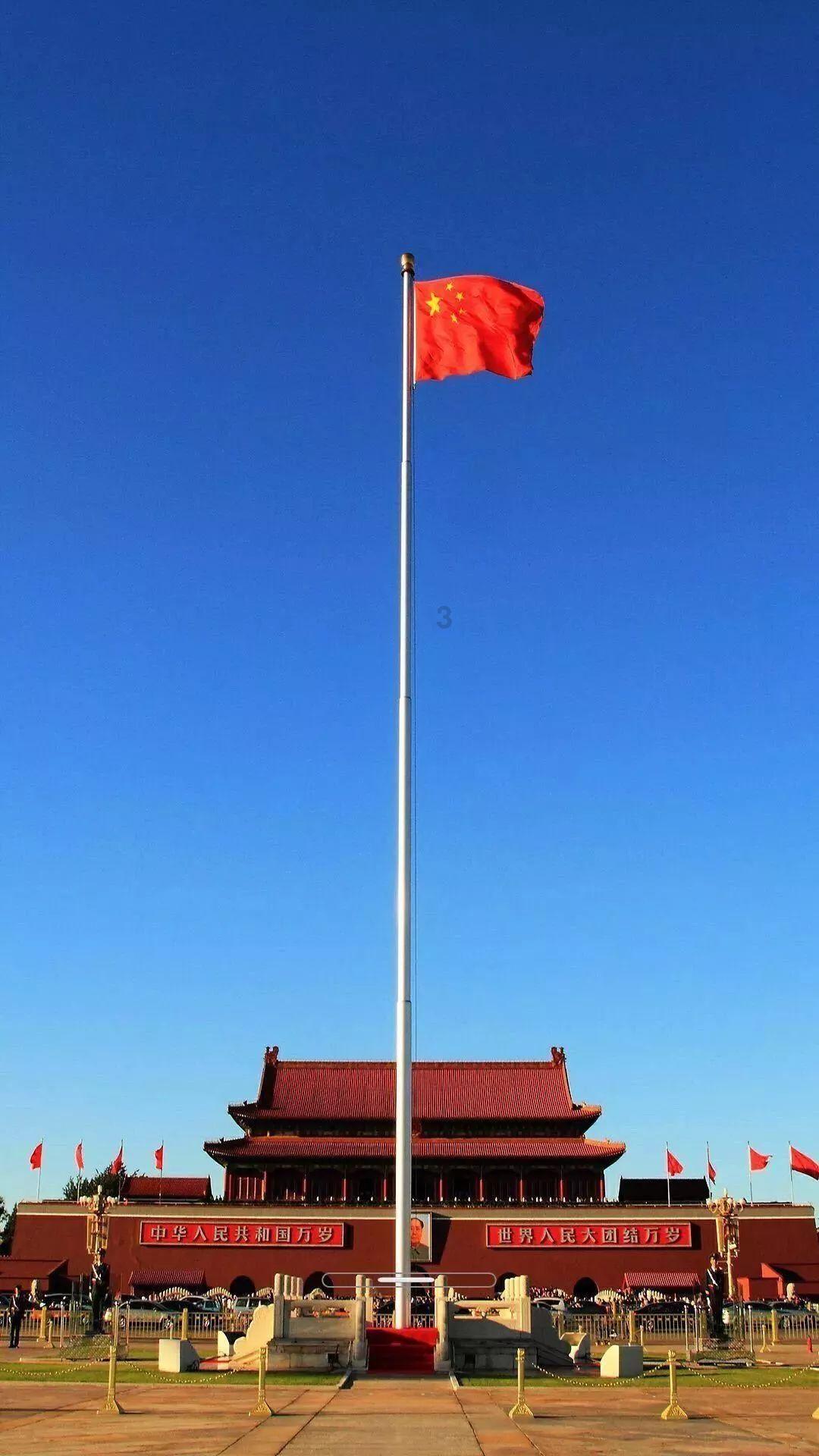 营救小乌龟