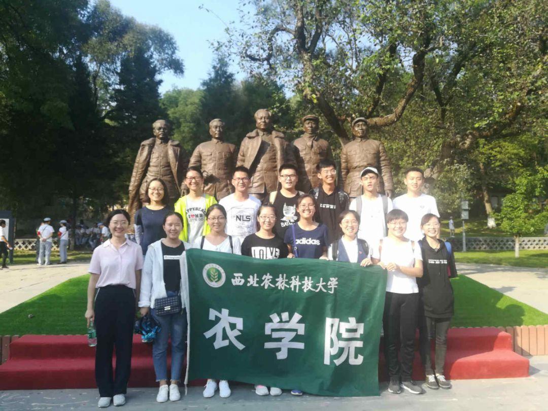 如何玩菩提子手串？游戏画面