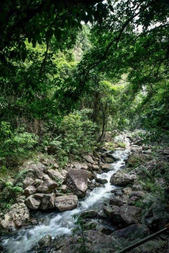 海南临高县官方通报“古银瀑布村民私自拍摄游客照片并强制要求购买”:责令停业整顿