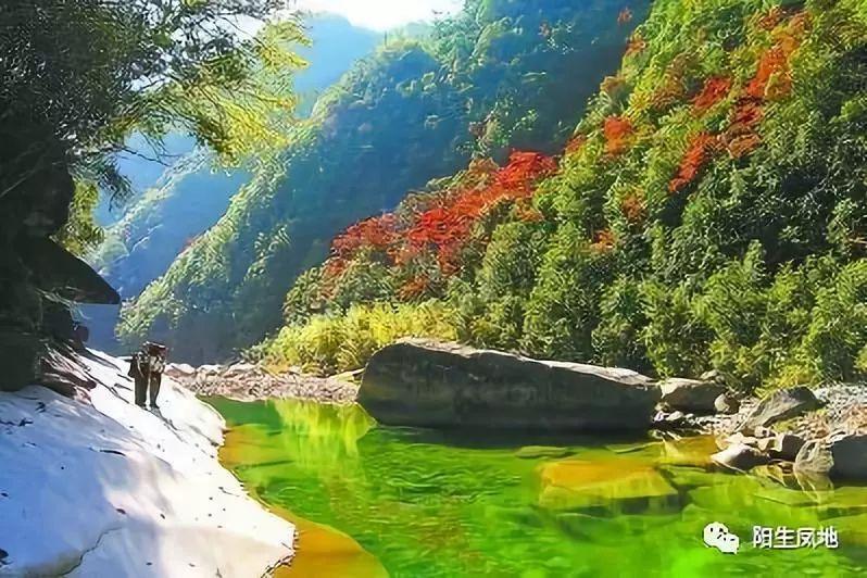 三国志·战略版被选为复旦教学案例,这么多同类,为何偏偏是它