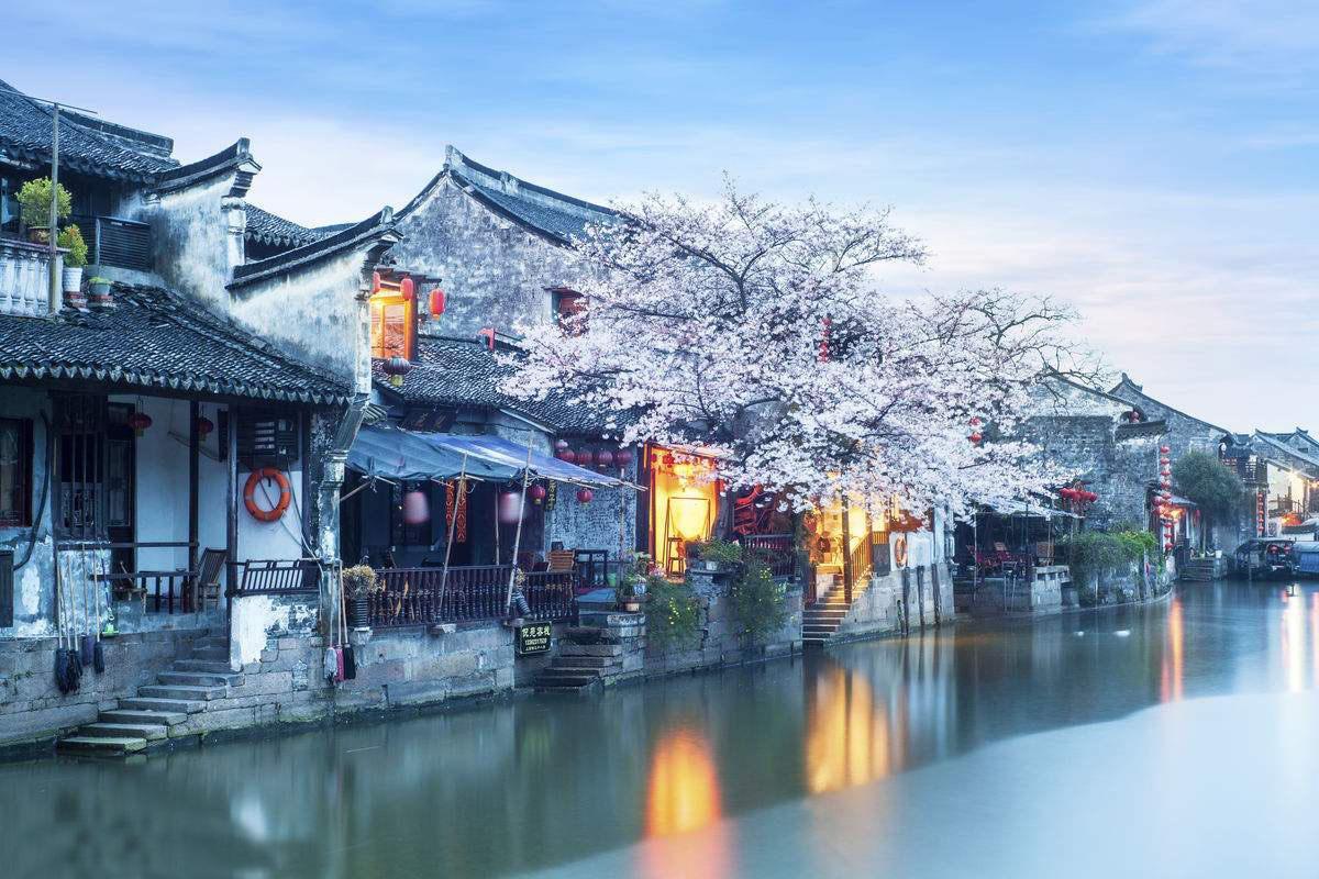 床上快速找到跳蚤的方法游戏画面