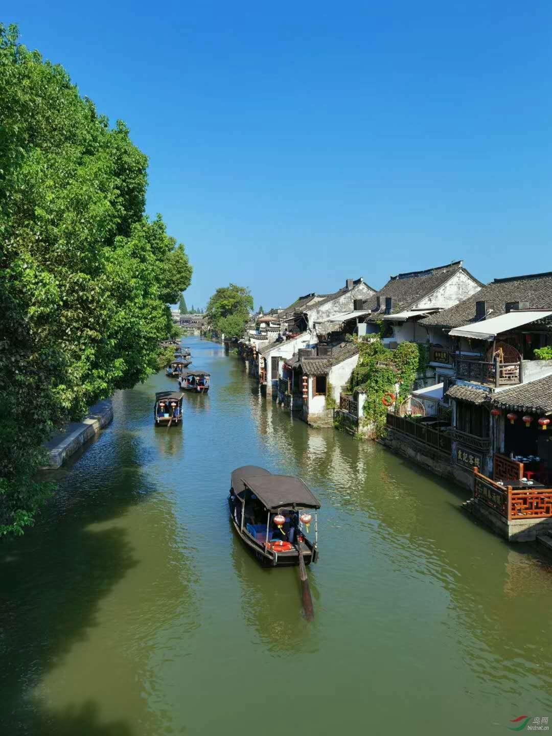 燃烧吧大脑装瓶子游戏